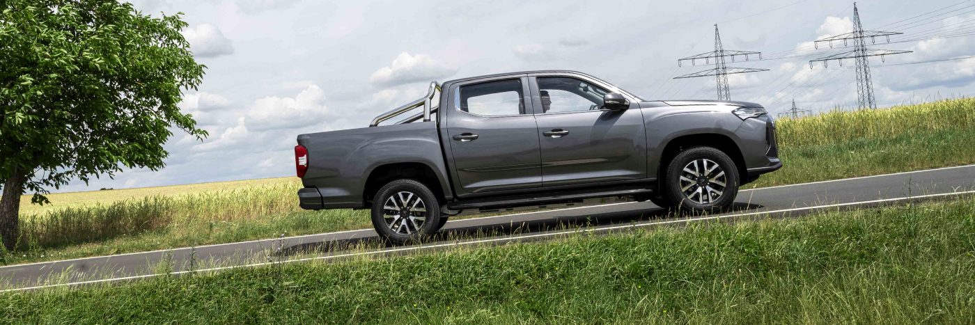 Ein grauer Pickup-Truck steht auf einer Straße neben einem Feld und einem Baum, unter einem bewölkten Himmel.